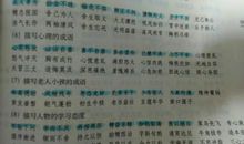 描写妹妹外貌的段落