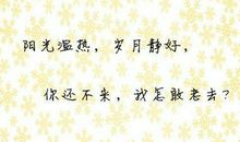 关于爱情的格言警句