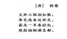 描写春雨的句子大全