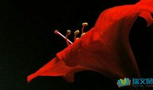 抗战疫情祈祷平安朋友圈句子