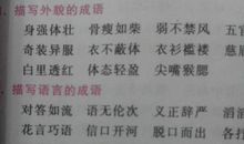 描写少年外貌的成语