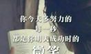 含蓄的表达暗恋的句子