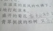 拟人句80