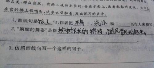 拟人化大公鸡