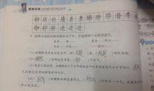 回首造句