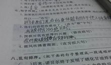虫拟人句