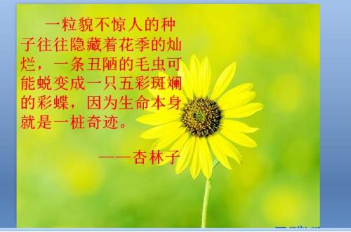 杏林子:“和谐生活”