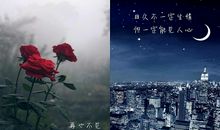 心碎流泪唯美句子