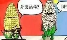 超狠骂人话