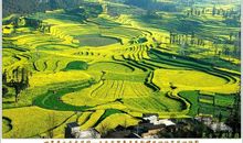 旅游顺口溜