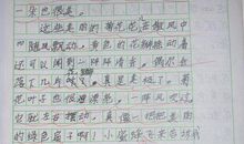 夸夸我的家乡作文