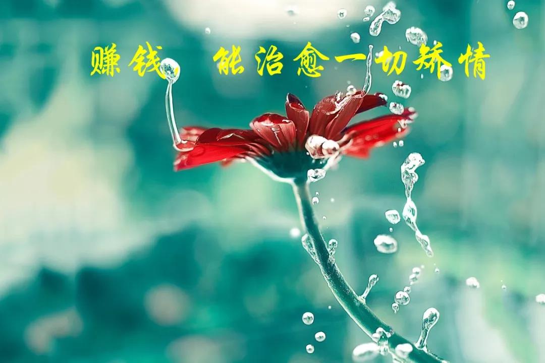 微信非常逼真的生活观,每一句话都渗入人们的心灵