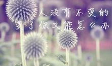 对家庭生活无奈的句子