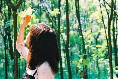 经典句子抑制您的心脏疲劳2