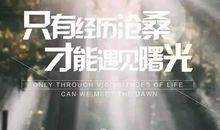 经典人生感悟
