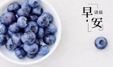 朋友圈2022最新早安心语，富有温馨祝福、感动人心的原创句子汇总分享！