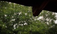 绚烂多彩的雨景诗句：满怀忧伤的心灵所需的悲凉诗词大全