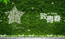 掬一捧回忆，思念青春的句子缱绻萦绕心头